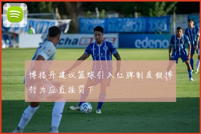 博格丹建议篮球引入红牌制度假摔行为应直接罚下