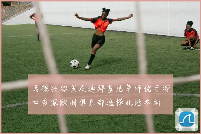 马德兴称国足迪拜基地草坪优于海口多家欧洲俱乐部选择此地冬训