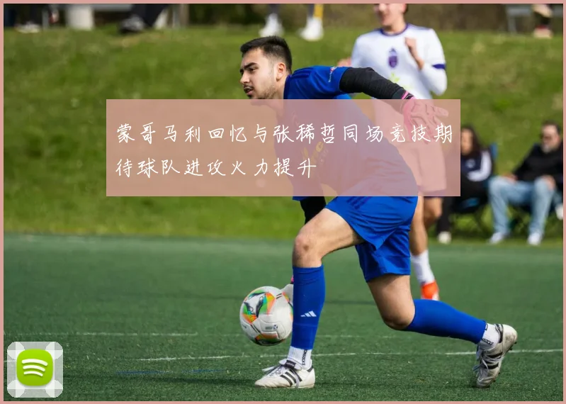 蒙哥马利回忆与张稀哲同场竞技期待球队进攻火力提升